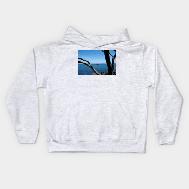 View through twisted pohutukawa tree branches across barge with crane blue ocean to distant horizon Kids Hoodie by brians101